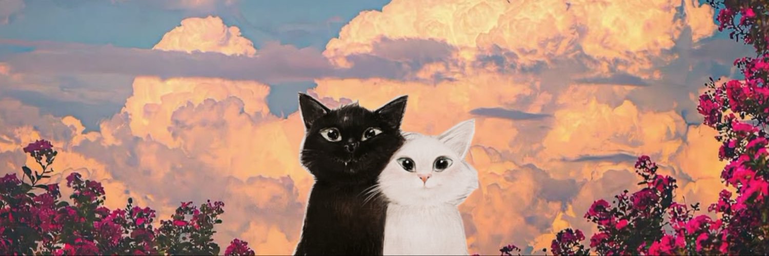 BotelhoKK's profile banner image