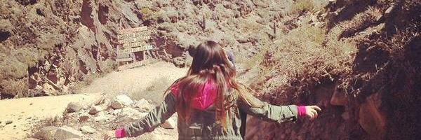 sofiissa's profile banner image
