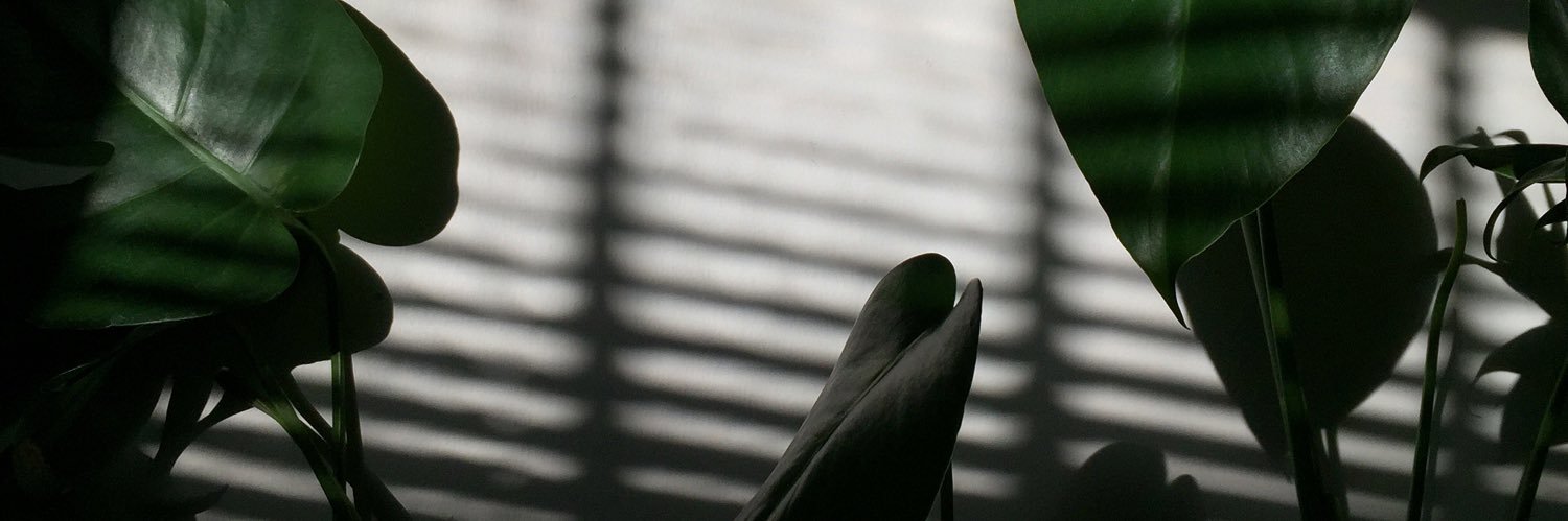 stilldre___'s profile banner image