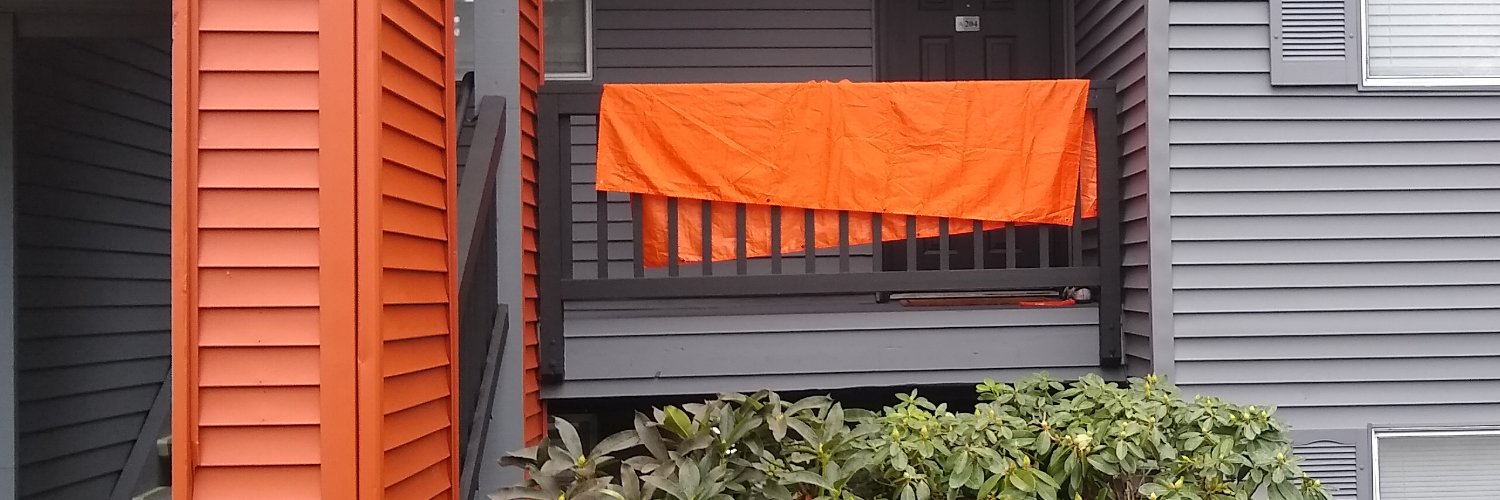 RoenUnknown's profile banner image