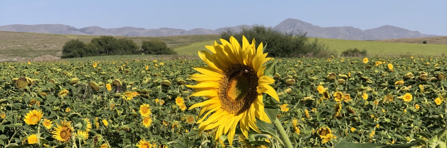 agguslescano's profile banner image