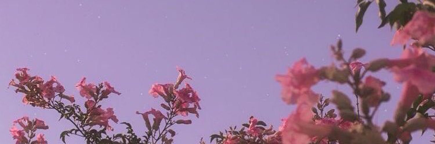alycat236's profile banner image