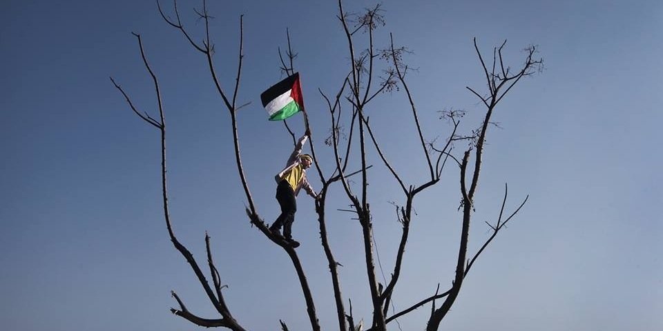 librapalestina's profile banner image