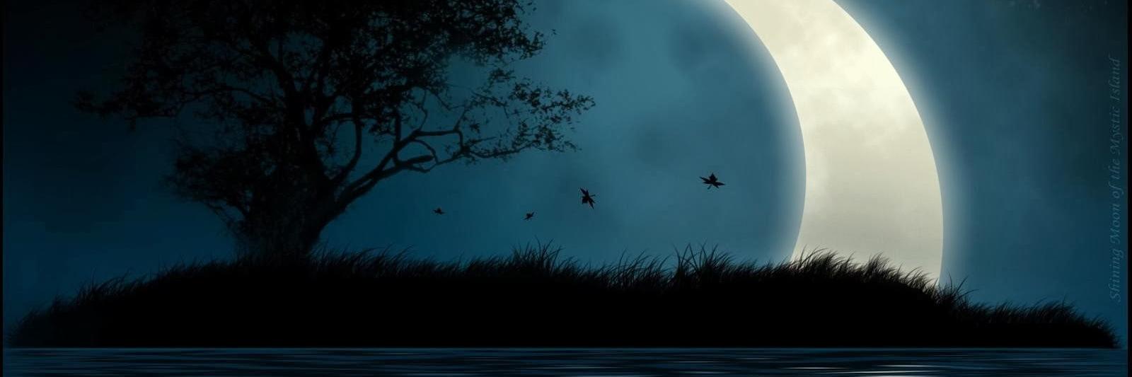 Sandrita0626's profile banner image