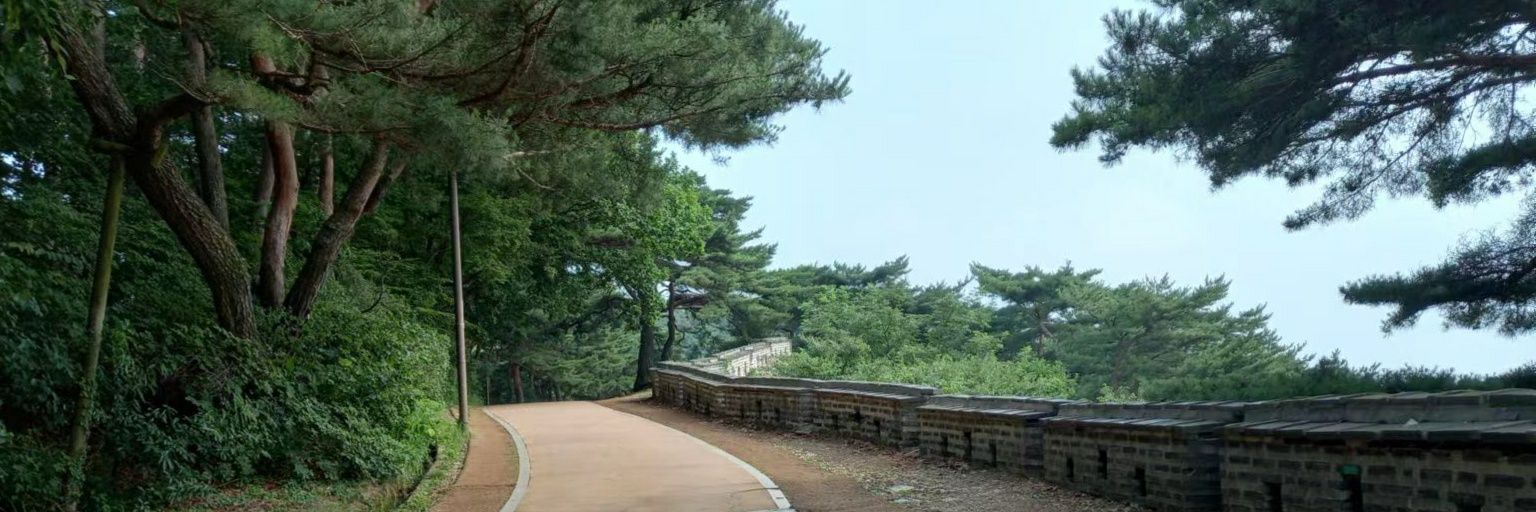 qwt8000's profile banner image