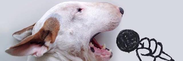 anahub's profile banner image