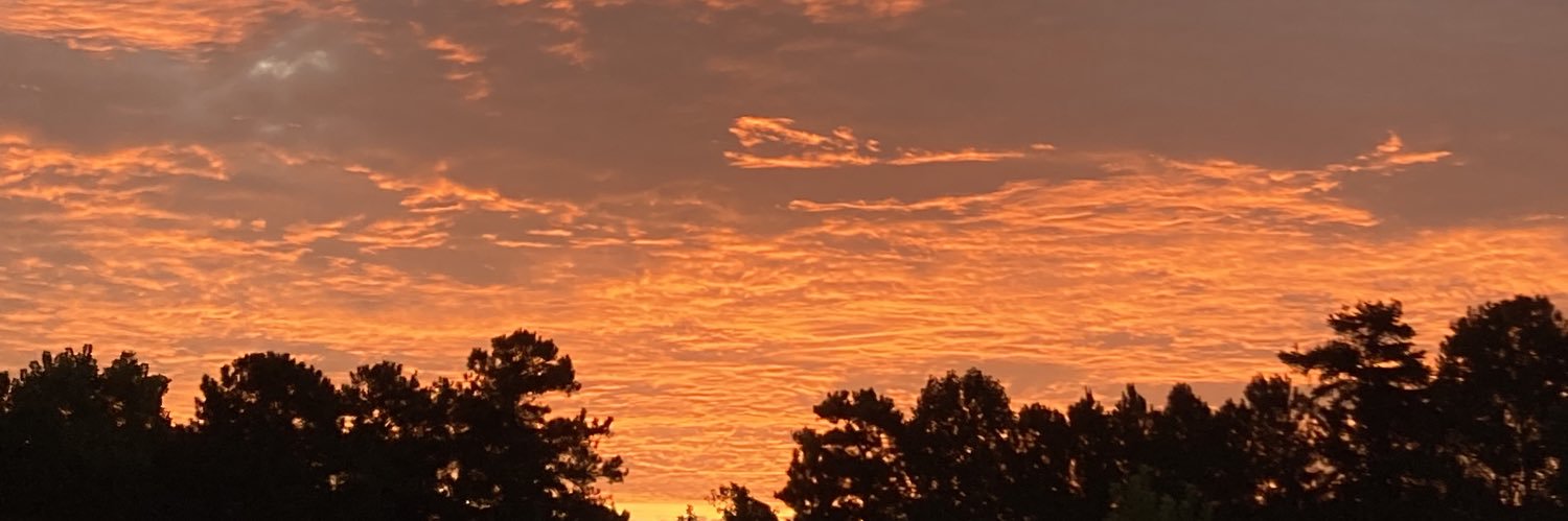 dvpg__'s profile banner image