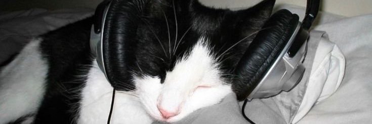 ssendmeout's profile banner image