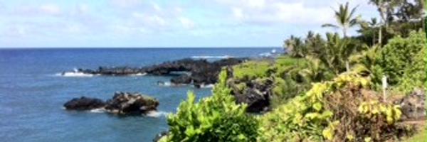 Philopportunity Profile Banner