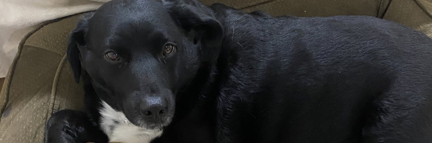 macieplummer's profile banner image