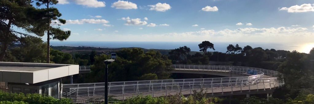 eyalstweets's profile banner image