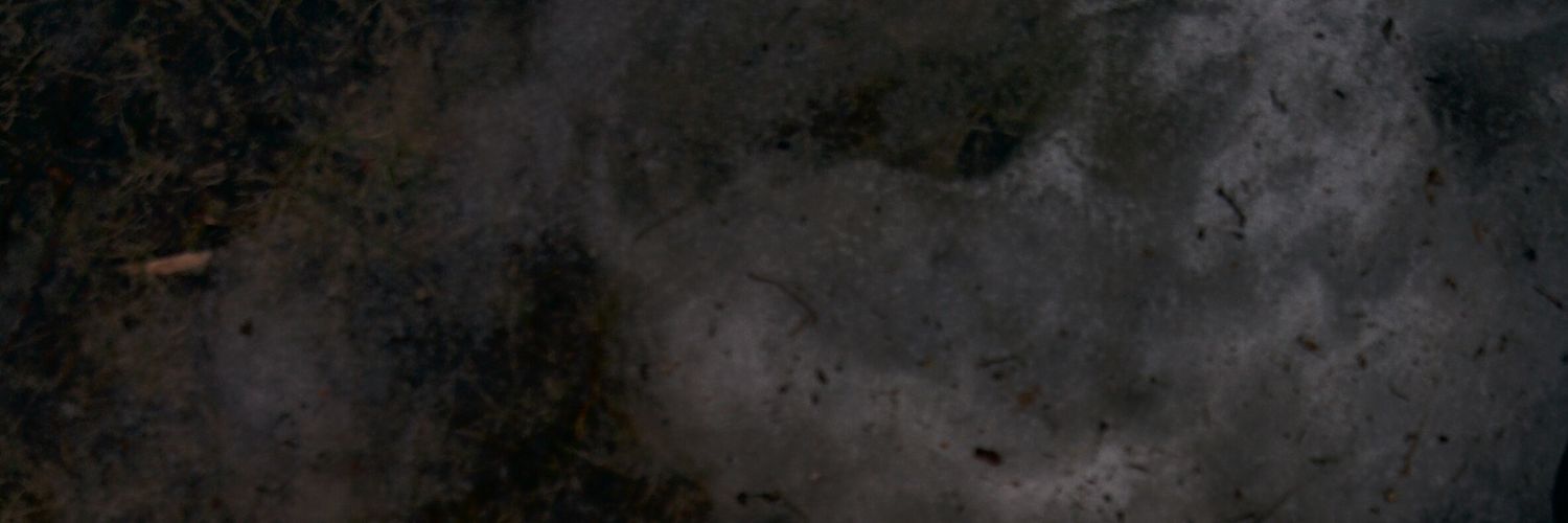 coresap's profile banner image