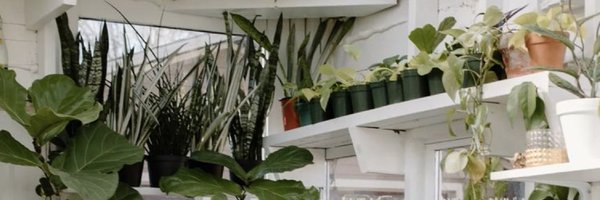 macjoness Profile Banner