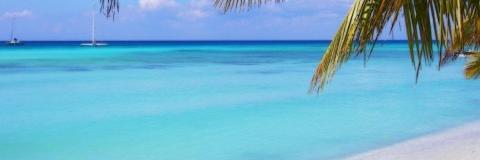 JoannyATC's profile banner image