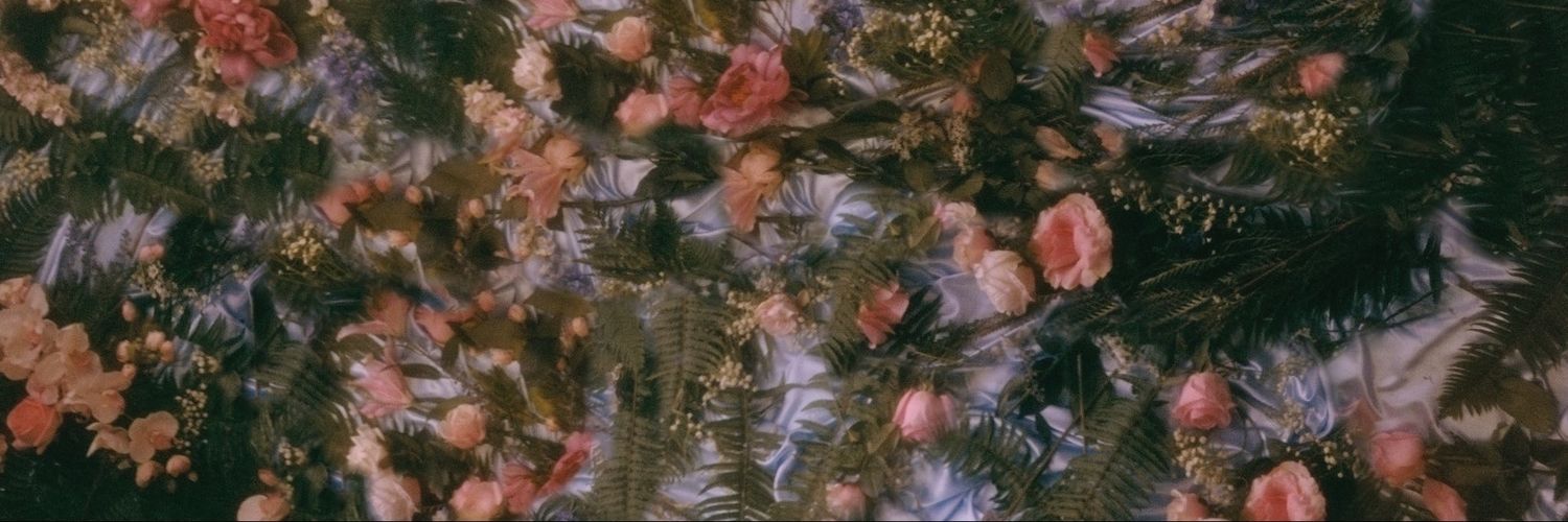 lucymesr's profile banner image