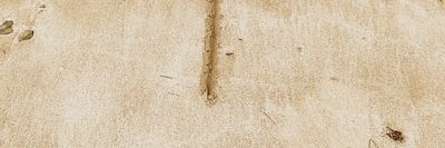 SSaFaKoCaKK's profile banner image