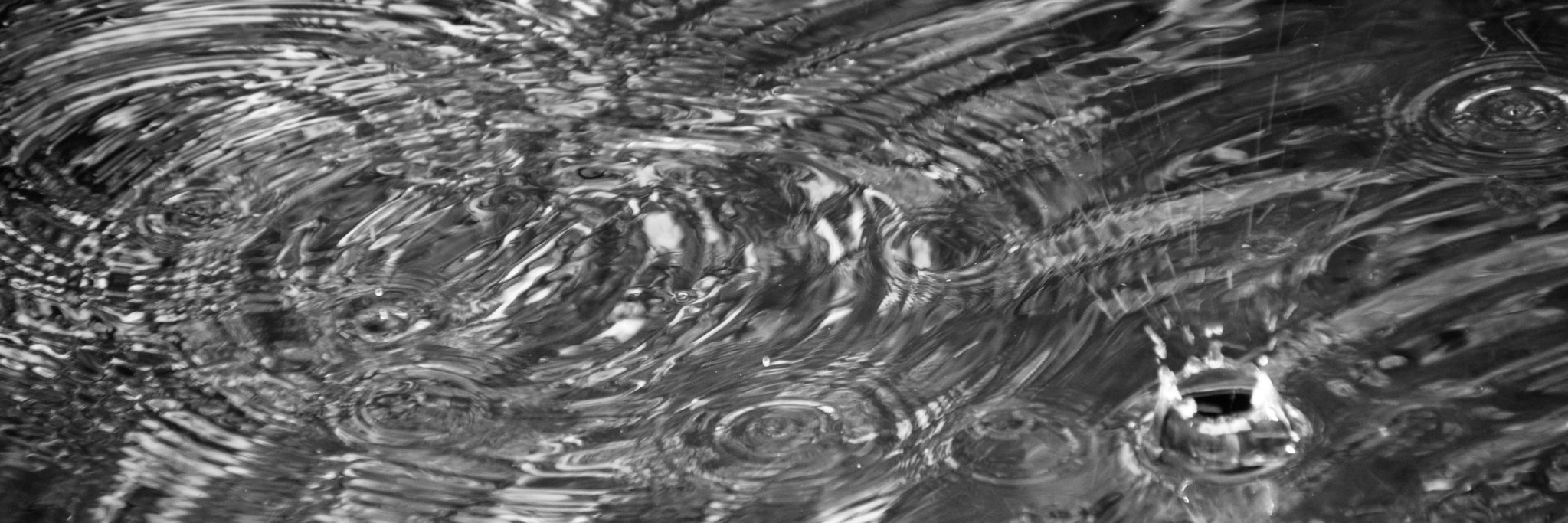 gcar64's profile banner image