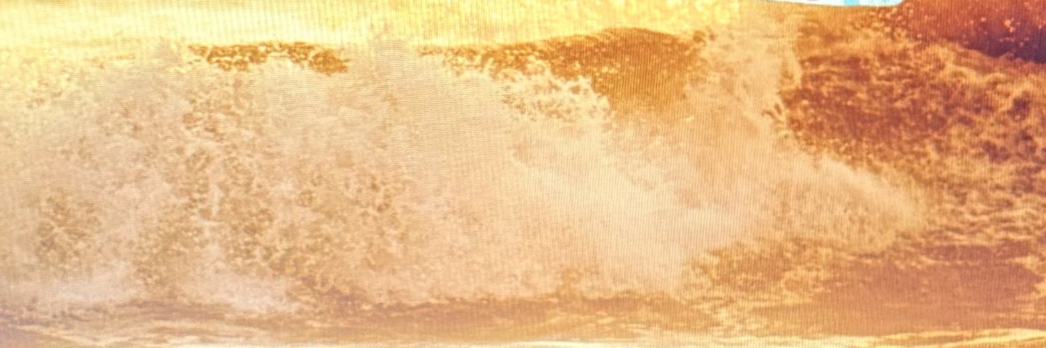 twildinthe70s's profile banner image