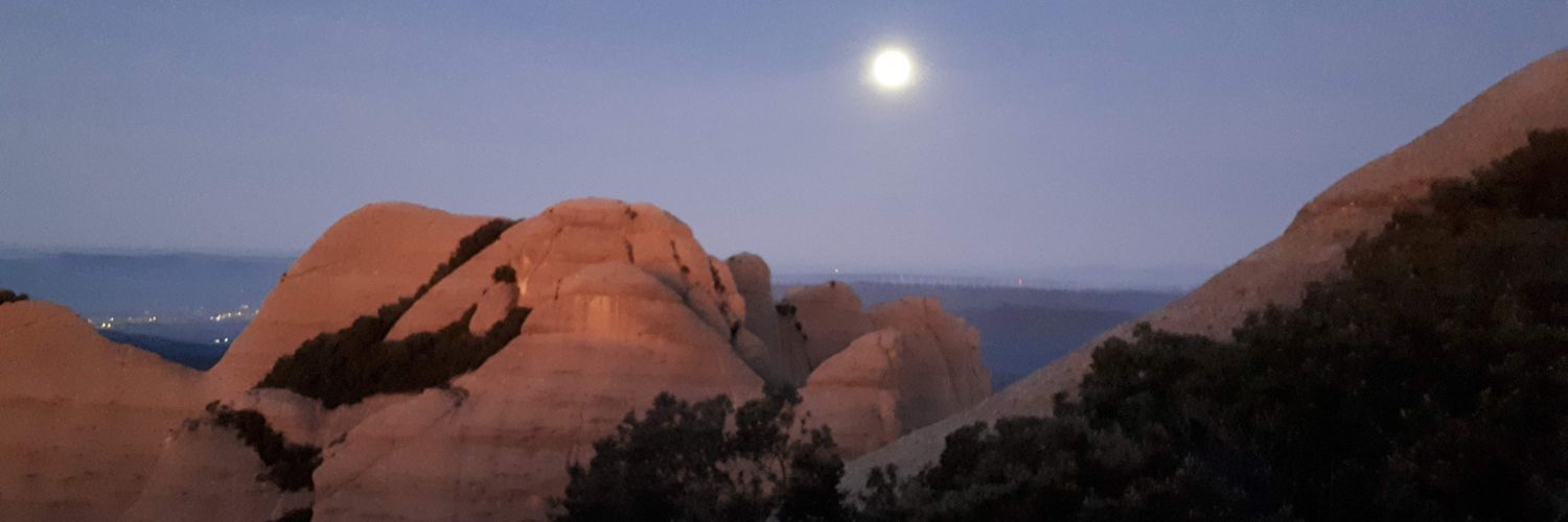 Imma Reguant Espinal banner