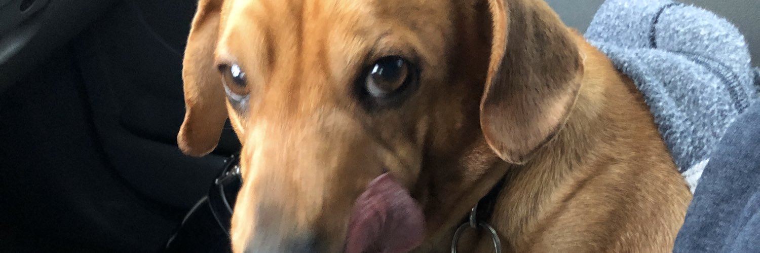 selfpaidmade's profile banner image