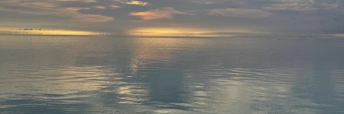 wolfiesbieber's profile banner image