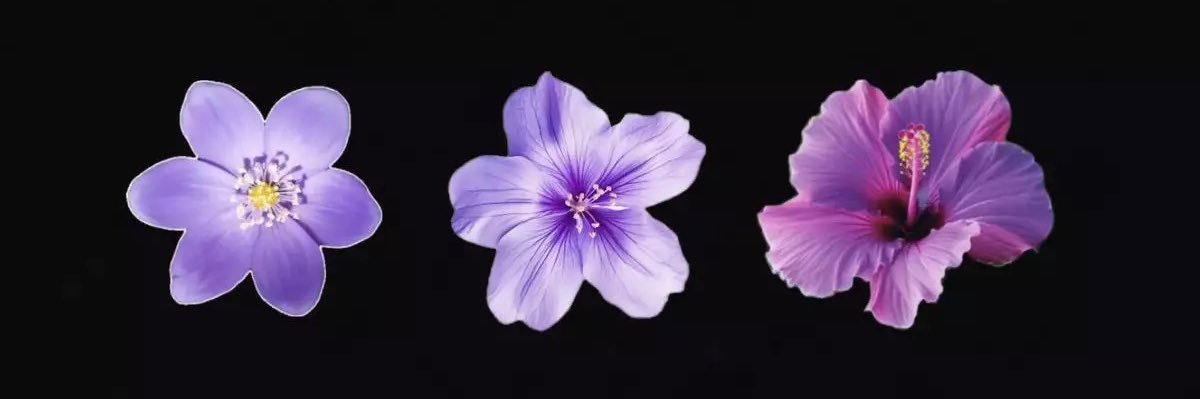 dirnanie's profile banner image