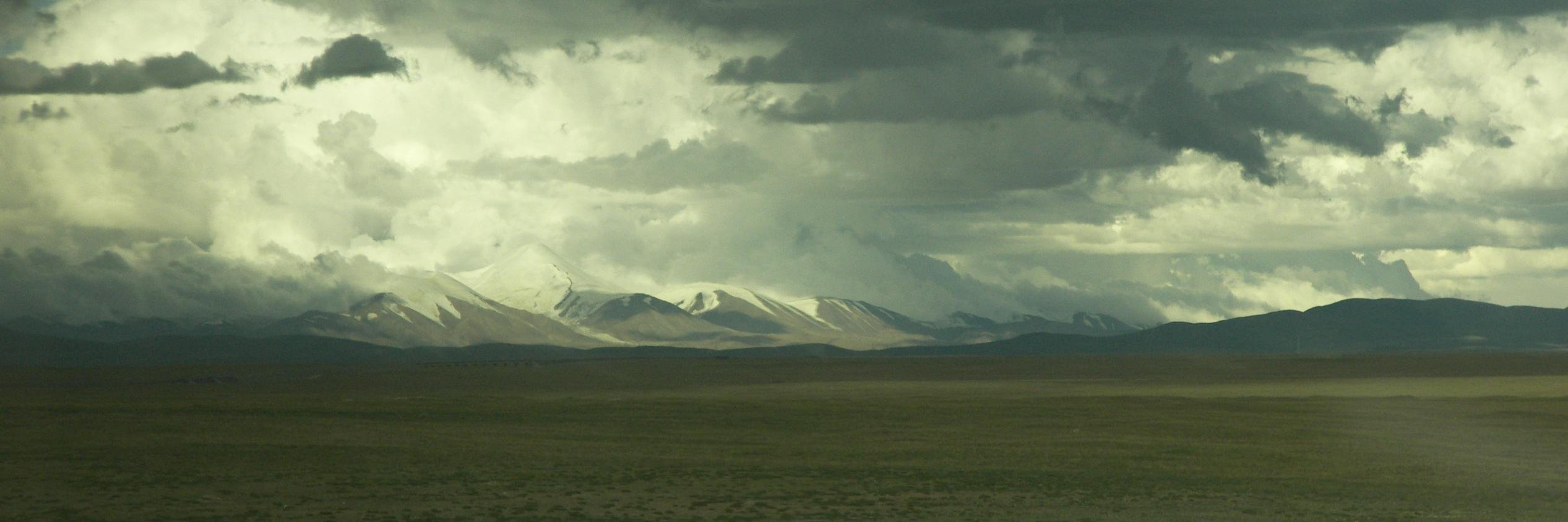 Ringbill Records banner