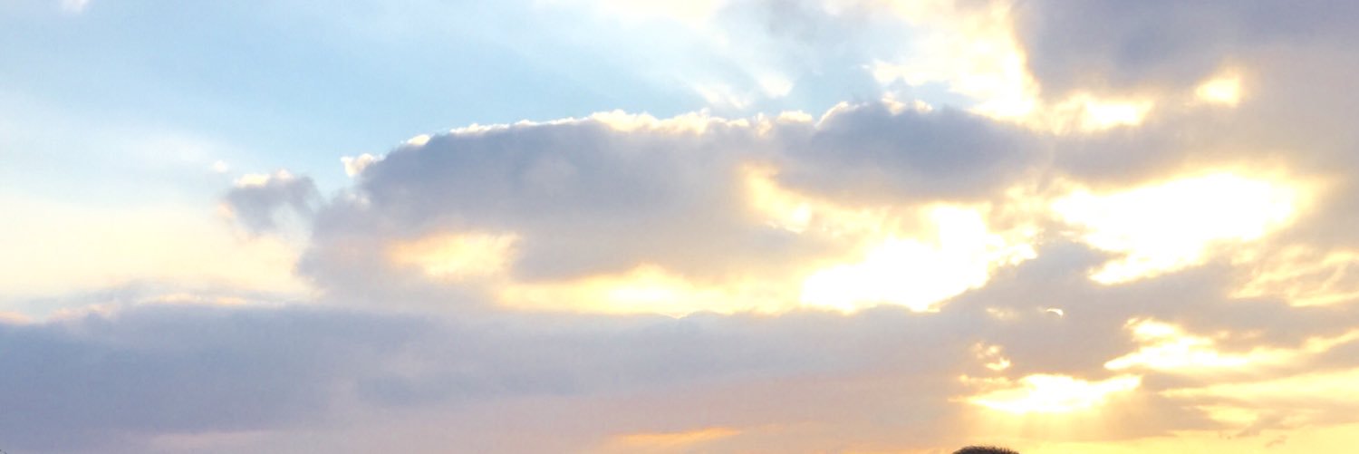 AmyMayordomo's profile banner image