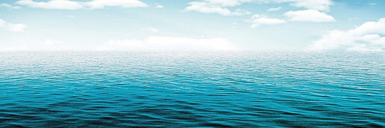 jenlamy's profile banner image