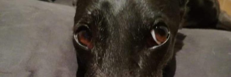 acturpin's profile banner image