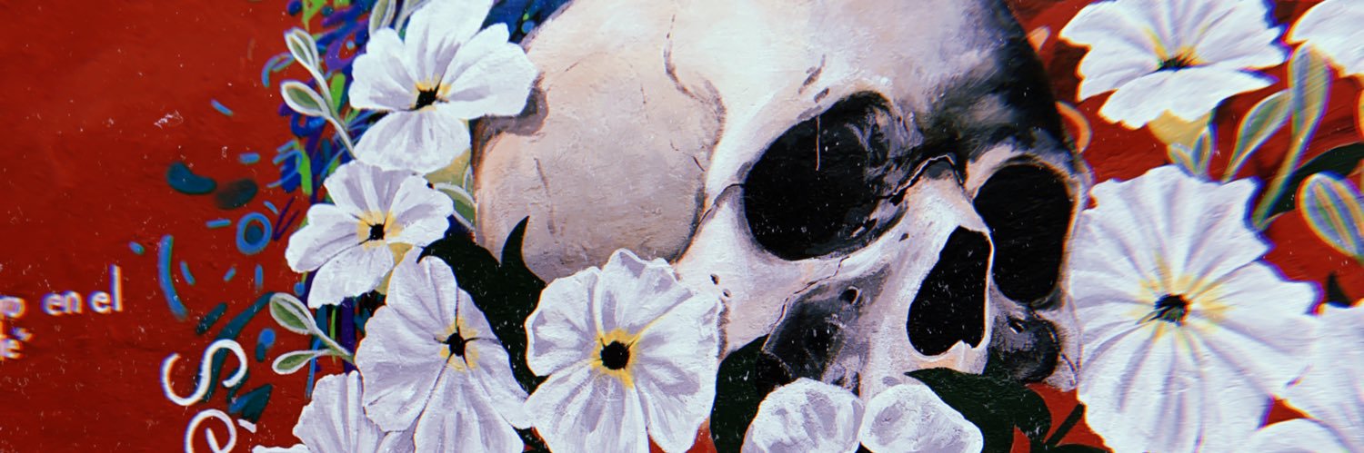 fefsilvaa's profile banner image