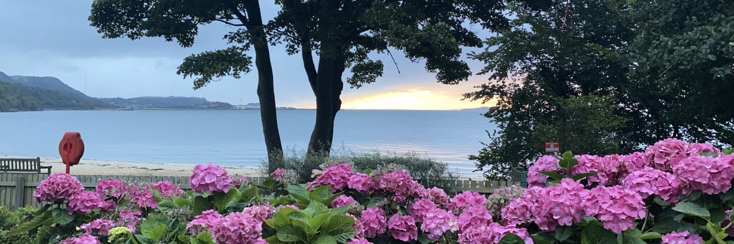 aimeemorton15's profile banner image
