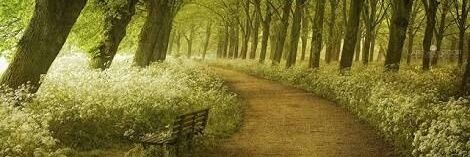 Aisyah Deyinglia banner