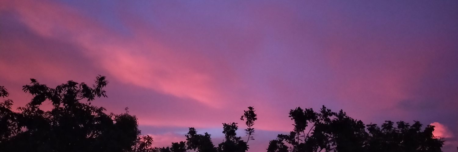 CerealLIS2's profile banner image
