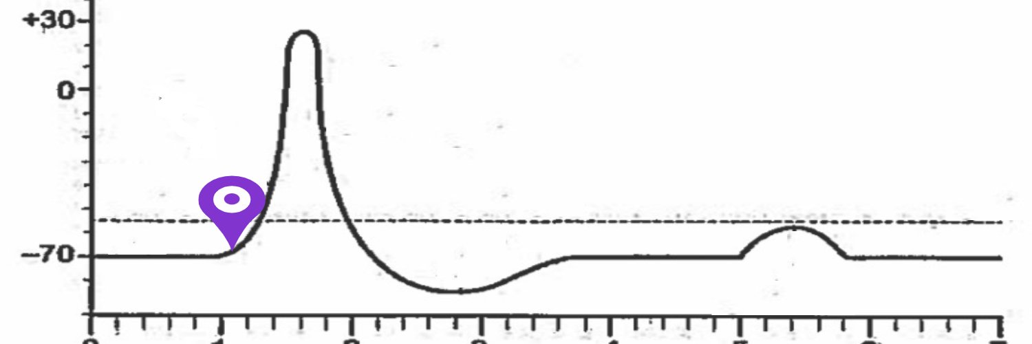 Your Fridge Therapist banner