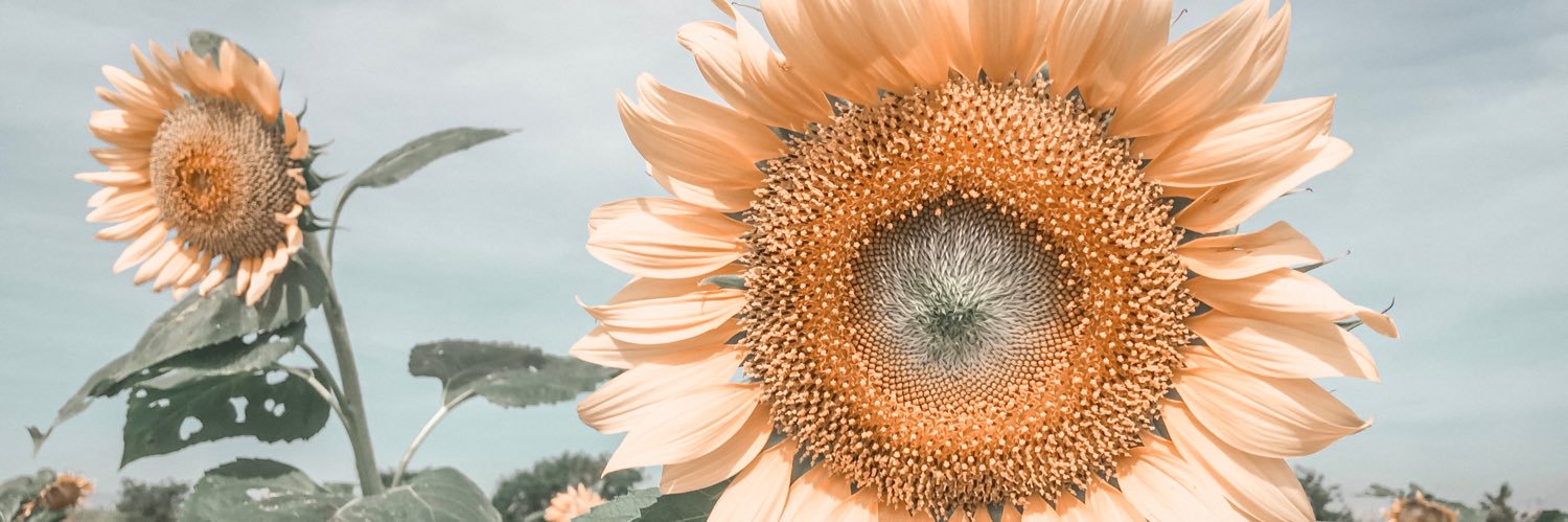 HeyitsmeA28's profile banner image