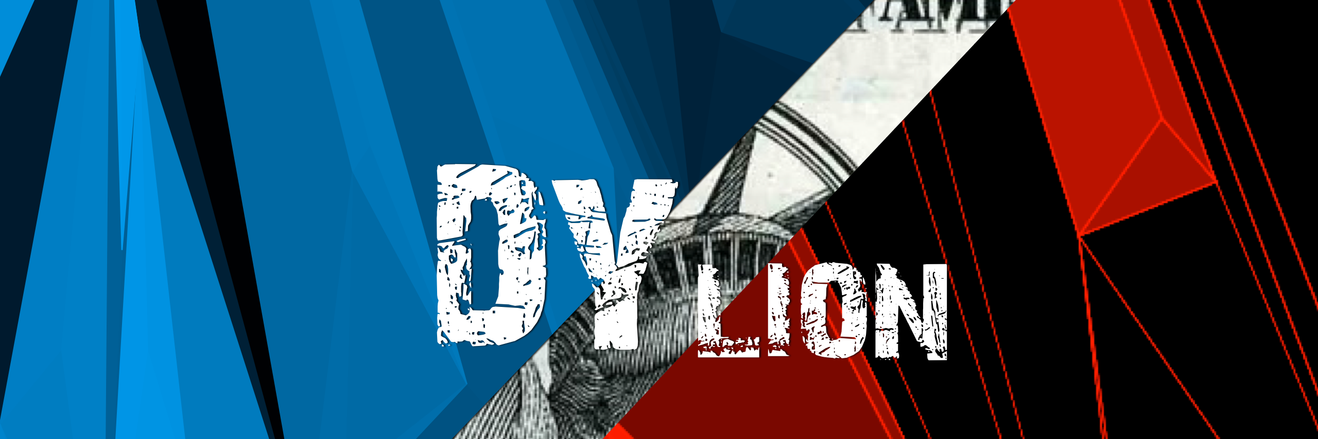 DYlion9's profile banner image