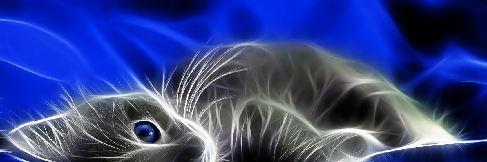 21sziegler1's profile banner image