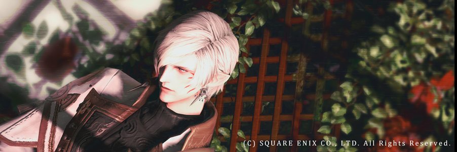 aque_48's profile banner image