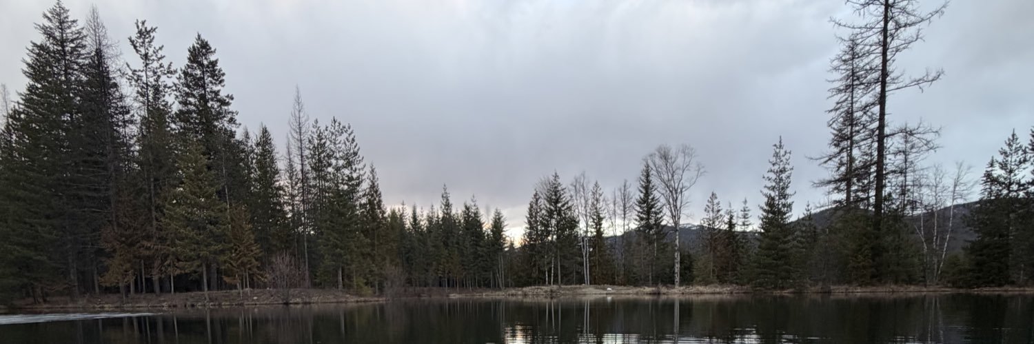 RealMattBlckbrn's profile banner image
