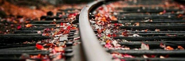 gondi_peter's profile banner image