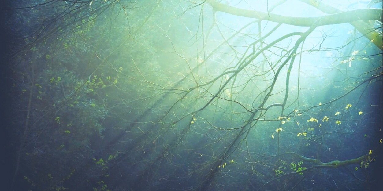 Unity_Holistic's profile banner image