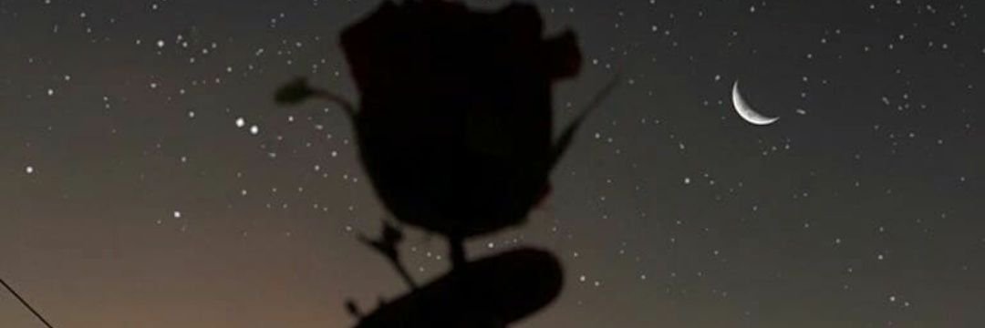 Aandreaa_017's profile banner image