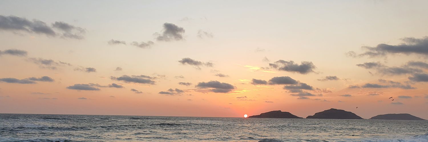 bobibanez's profile banner image