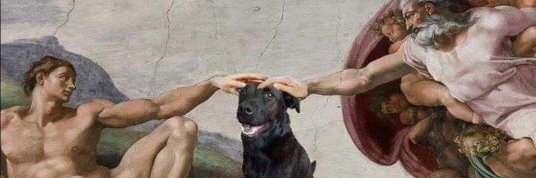 𝐯𝐢𝐜𝐤𝐲 banner