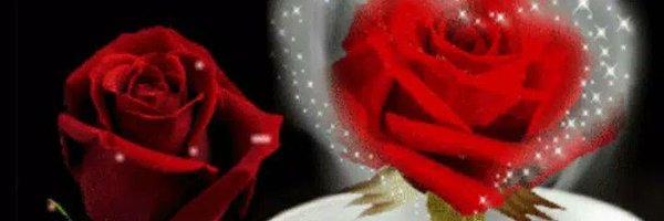 ebrahemsd15 Profile Banner
