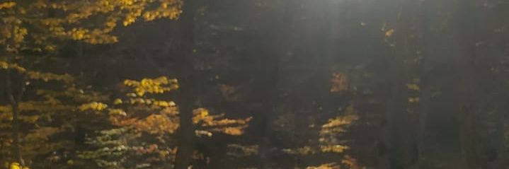 Brummbar777's profile banner image