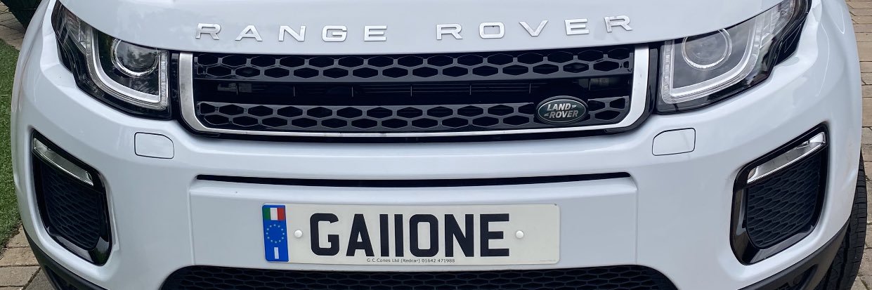 Alberto Gallone banner