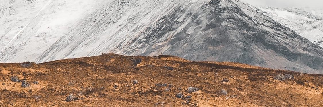 JorgePinilla_7's profile banner image