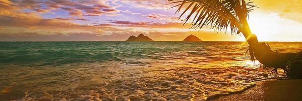 rolando aguilar banner